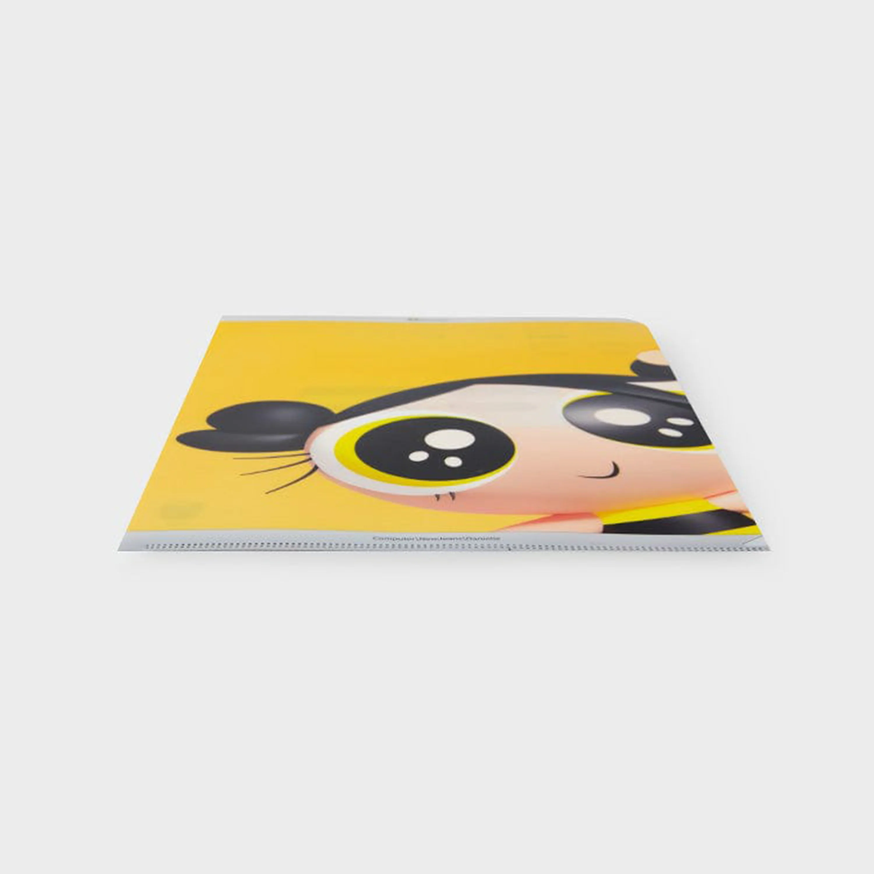 NEWJEANS - THE POWERPUFF GIRLS X NJ [PLASTIC FILE] - Image 20